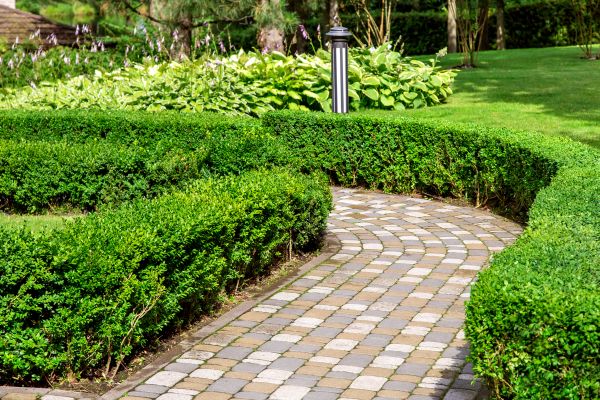 Cost of Paved Landscaping in Redwood City