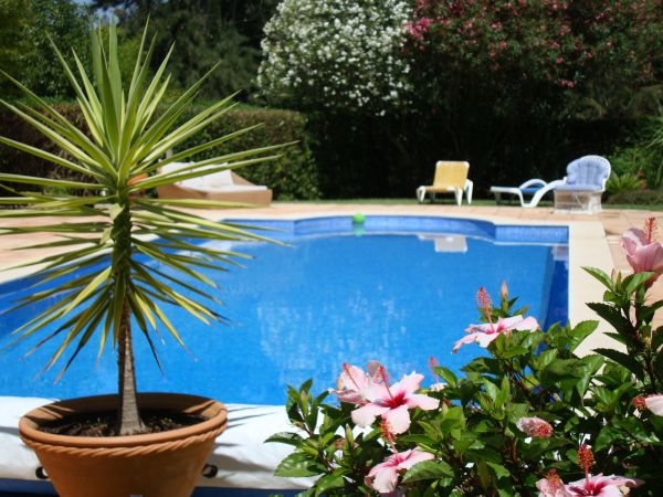 Pool Terrace Renovation in Redwood City